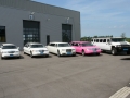 limousine  Hummer wit zwart en roze